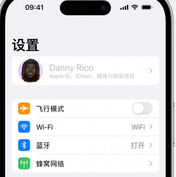 务川appleID维修服务iPhone设置中Apple ID显示为灰色无法使用 