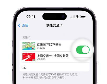 务川apple维修点分享iPhone上更换Apple Pay快捷交通卡手绘卡面 