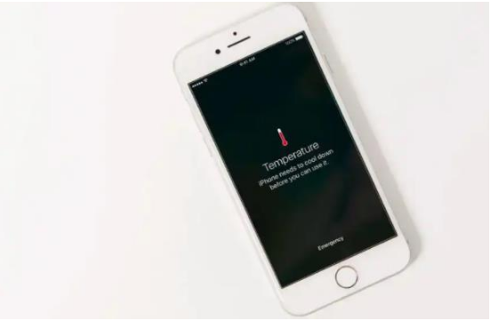 务川苹果手机维修分享iPhone 手机发热如何快速降温 