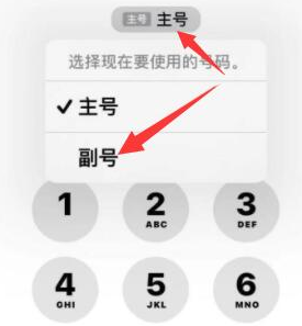 务川苹果14维修店分享iPhone 14 Pro Max使用副卡打电话的方法 