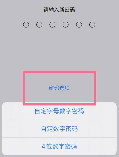 务川苹果14维修分享iPhone 14plus设置密码的方法 