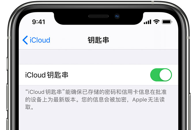 务川苹果手机维修分享在 iPhone 上开启 iCloud 钥匙串之后会储存哪些信息 