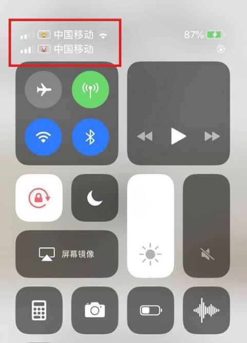 务川苹果手机维修分享为 iPhone 12 双卡设置标签 